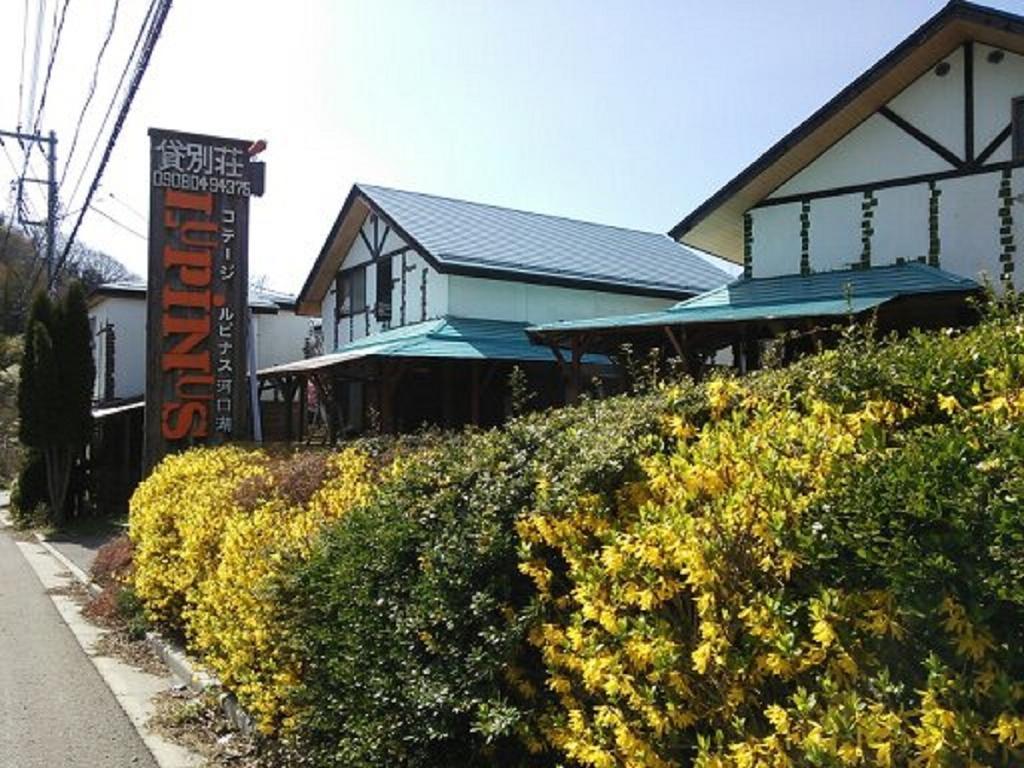 Villa Lupinus Kawaguchiko Fujikawaguchiko Exterior foto